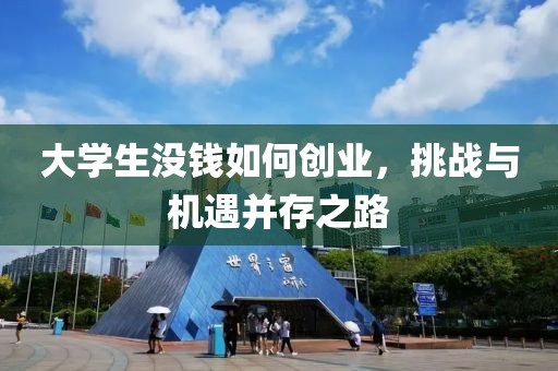 大学生没钱如何创业，挑战与机遇并存之路