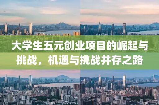 大学生五元创业项目的崛起与挑战，机遇与挑战并存之路