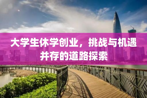 大学生休学创业，挑战与机遇并存的道路探索