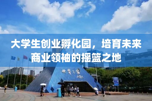 大学生创业孵化园，培育未来商业领袖的摇篮之地