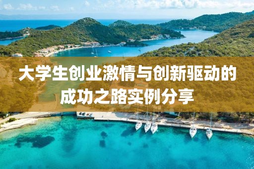 大学生创业激情与创新驱动的成功之路实例分享