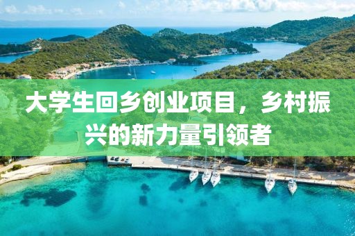 大学生回乡创业项目，乡村振兴的新力量引领者