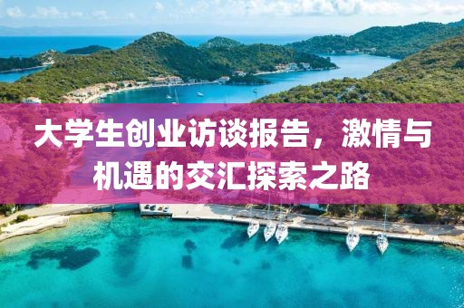 大学生创业访谈报告，激情与机遇的交汇探索之路