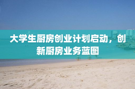 大学生厨房创业计划启动，创新厨房业务蓝图