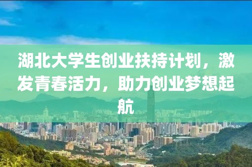 湖北大学生创业扶持计划，激发青春活力，助力创业梦想起航