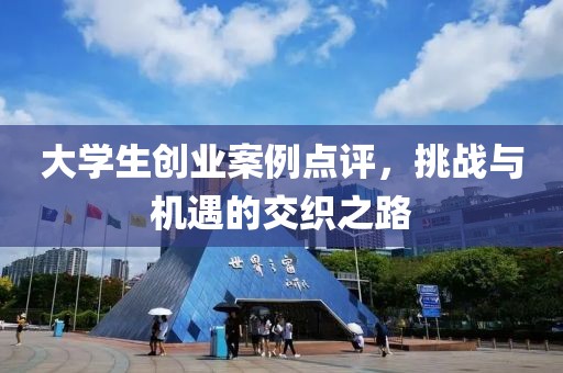 大学生创业案例点评，挑战与机遇的交织之路