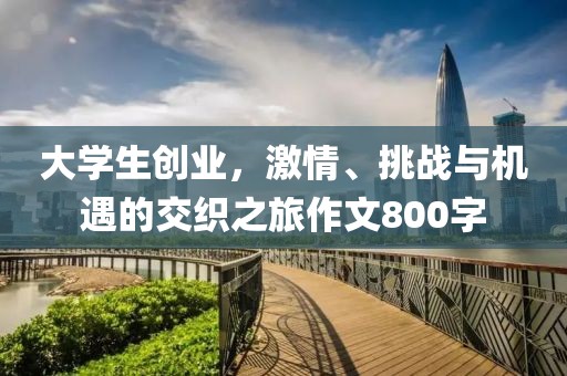 大学生创业，激情、挑战与机遇的交织之旅作文800字