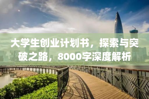 大学生创业计划书，探索与突破之路，8000字深度解析