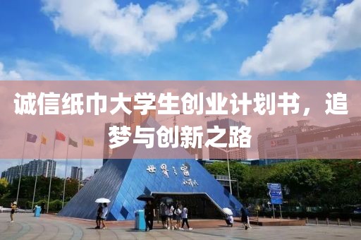 诚信纸巾大学生创业计划书，追梦与创新之路