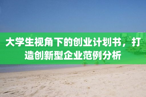 大学生视角下的创业计划书，打造创新型企业范例分析