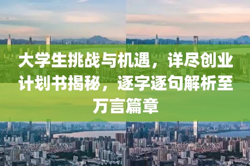 大学生挑战与机遇，详尽创业计划书揭秘，逐字逐句解析至万言篇章