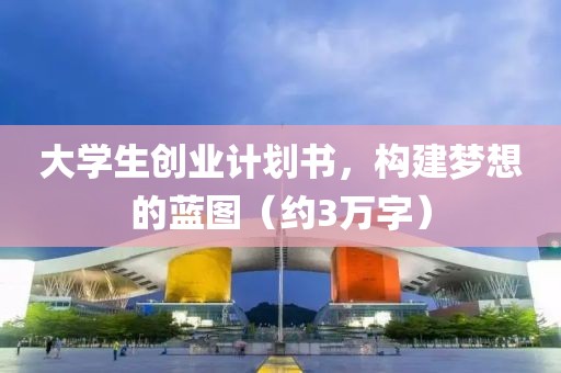 大学生创业计划书，构建梦想的蓝图（约3万字）