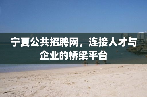 宁夏公共招聘网，连接人才与企业的桥梁平台