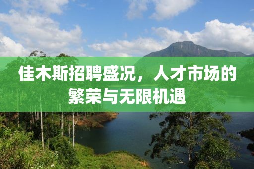 佳木斯招聘盛况，人才市场的繁荣与无限机遇