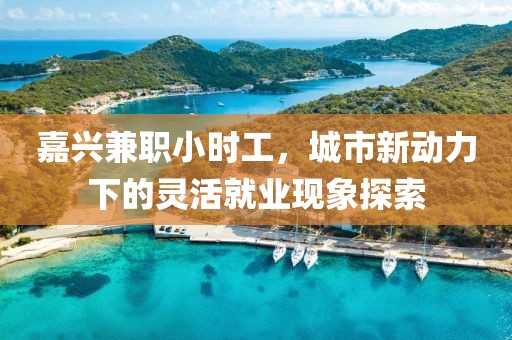 嘉兴兼职小时工，城市新动力下的灵活就业现象探索