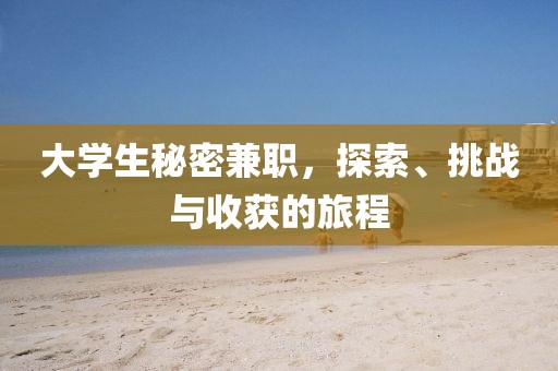 大学生秘密兼职，探索、挑战与收获的旅程