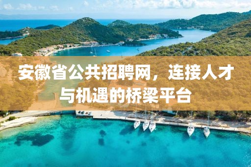 安徽省公共招聘网，连接人才与机遇的桥梁平台