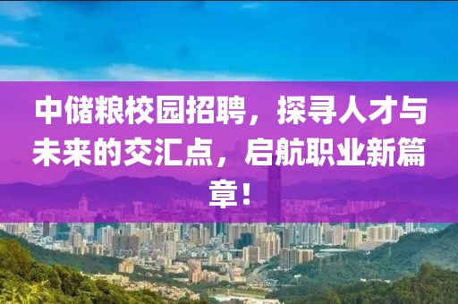 中储粮校园招聘，探寻人才与未来的交汇点，启航职业新篇章！