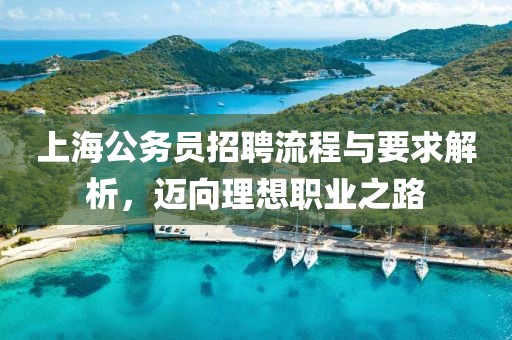 上海公务员招聘流程与要求解析，迈向理想职业之路