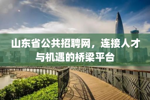 山东省公共招聘网，连接人才与机遇的桥梁平台