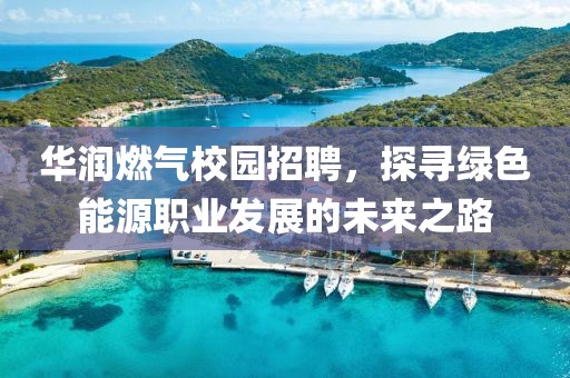 华润燃气校园招聘，探寻绿色能源职业发展的未来之路