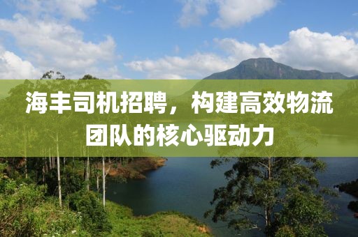 海丰司机招聘，构建高效物流团队的核心驱动力