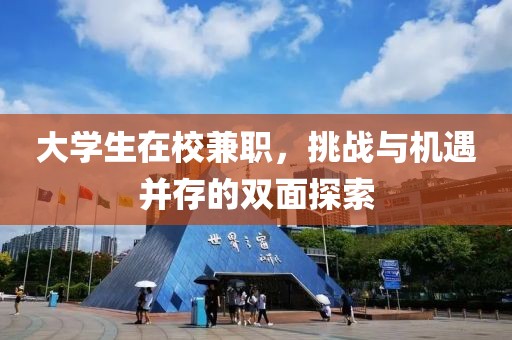 大学生在校兼职，挑战与机遇并存的双面探索