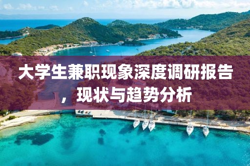 大学生兼职现象深度调研报告，现状与趋势分析