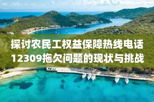 探讨农民工权益保障热线电话12309拖欠问题的现状与挑战