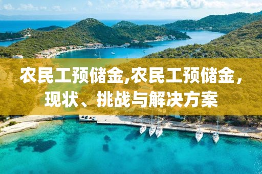 农民工预储金,农民工预储金，现状、挑战与解决方案