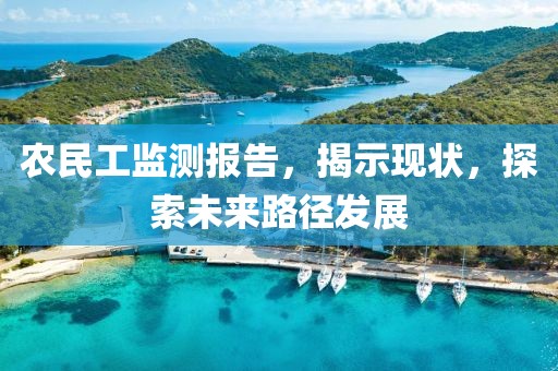 农民工监测报告，揭示现状，探索未来路径发展