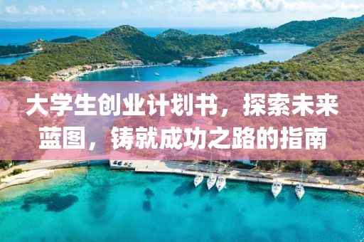 大学生创业计划书，探索未来蓝图，铸就成功之路的指南